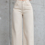 Women Classic Mid-Rise Stretchable Jeans
